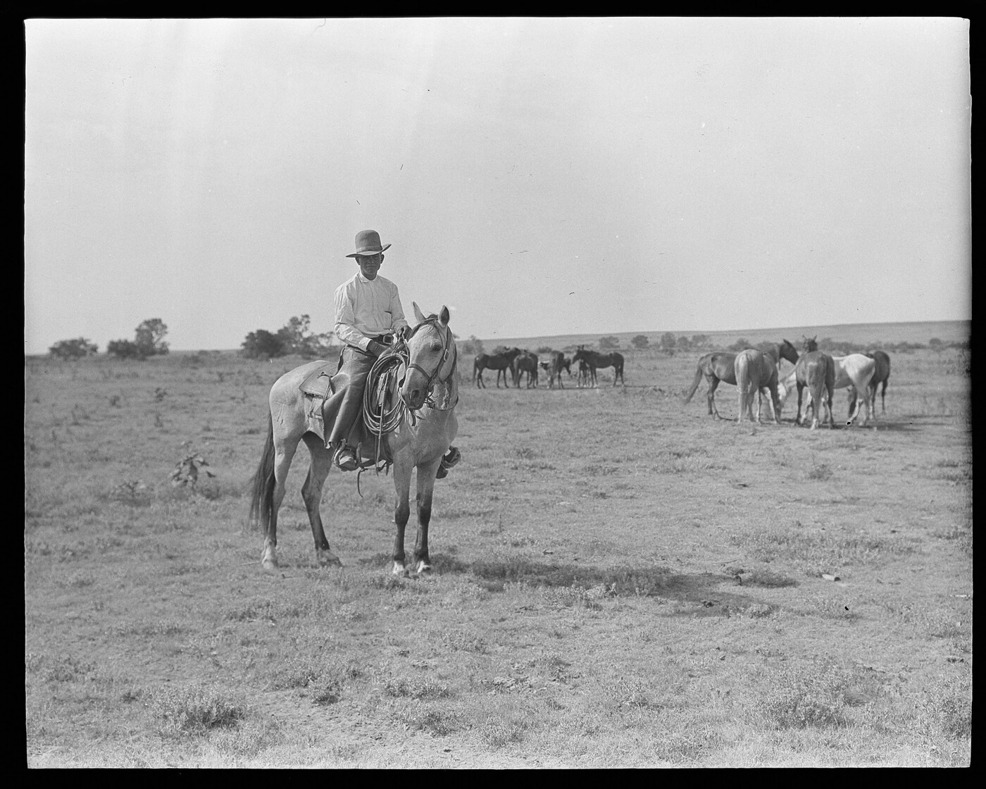 Wrangler of the Pitchfork Ranch. Pitchfork Ranch, Texas. Amon Carter Museum of American Art