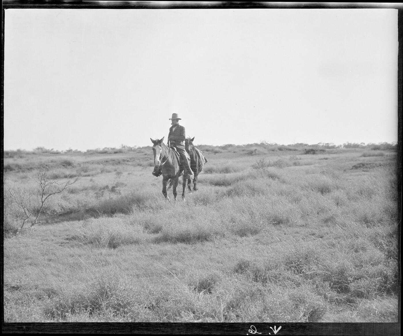 Ed Bomar mounted on his cutting horse "Rabbit" and packhorse on the