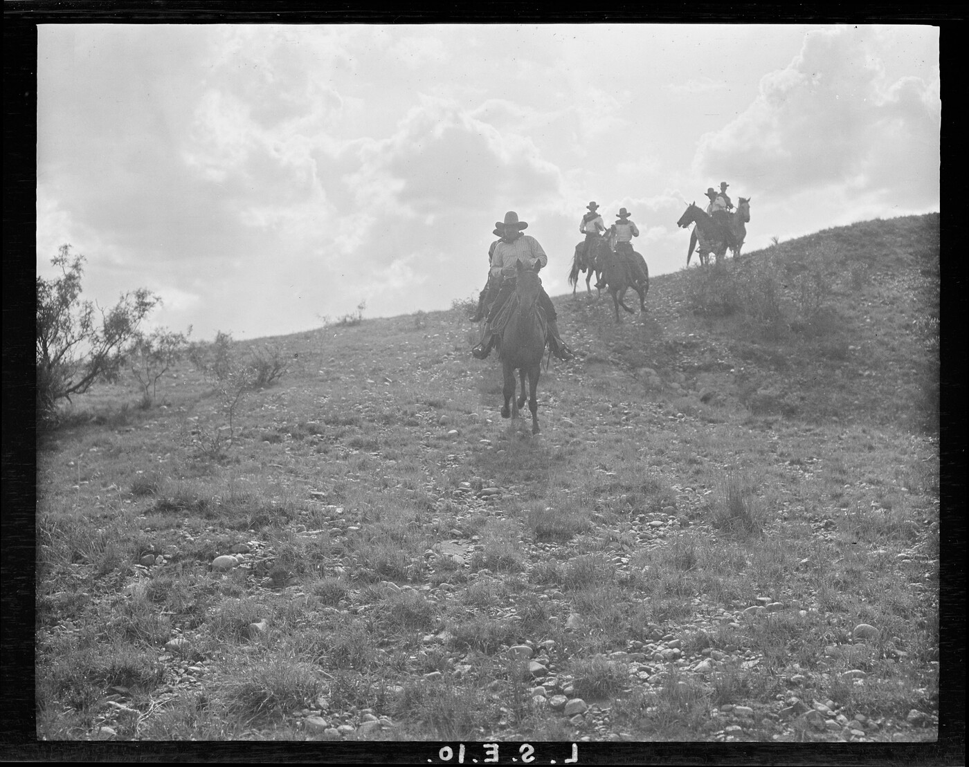 A few of the LS cowboys, out riding the range. LS Ranch, Texas. | Amon ...