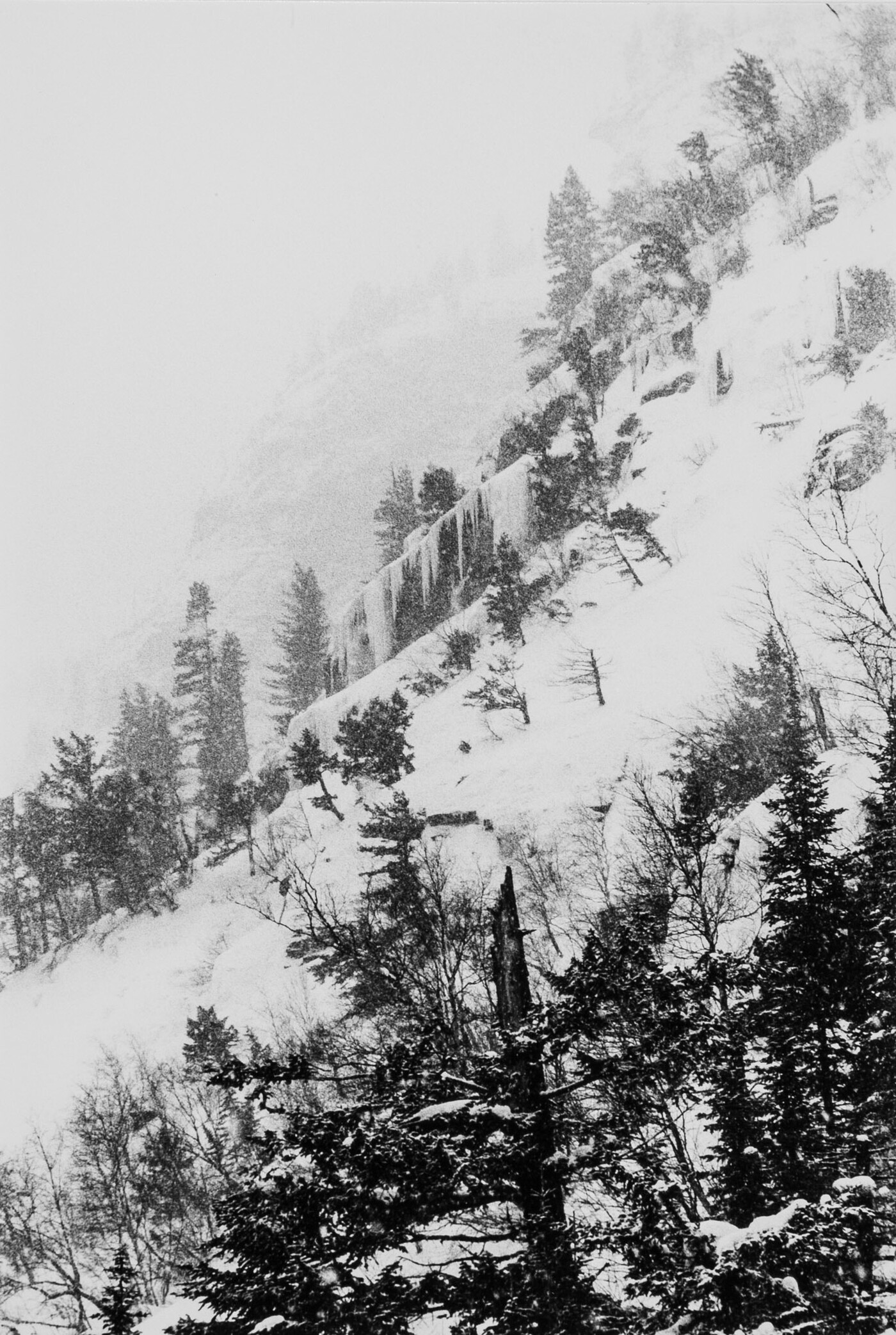 Avalanche Lake Basin (Cirque Headwalls in a Blizzard) Amon Carter