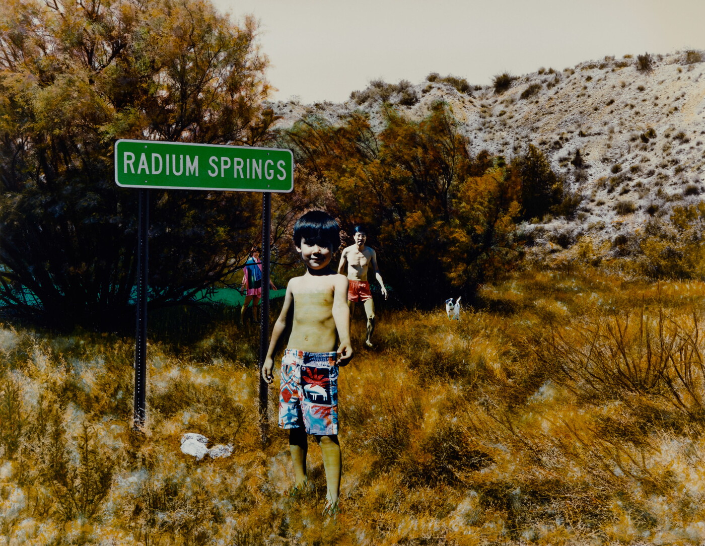 Radium Springs, New Mexico Amon Carter Museum of American Art