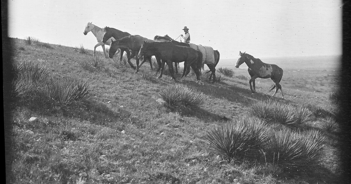 Bert Killion "outside man" for the LS outfit enroute to the LITS to