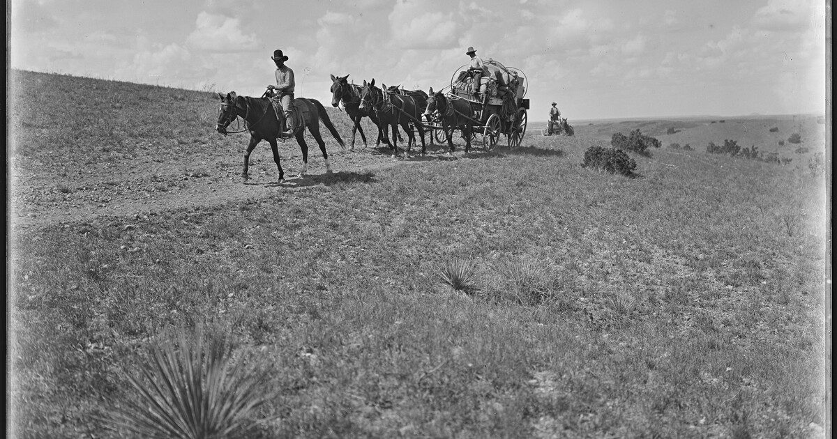 The Matador chuck wagon [with Harry Stewart driving] on the move